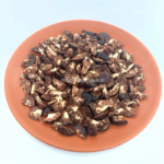 Rashi Adkipudi Mix